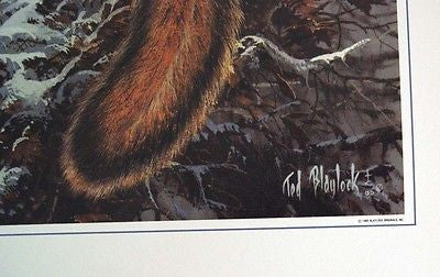 Vintage 1985 Ted Blaylock Squirrel Print