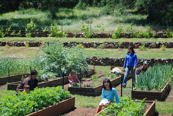 The Art Of Sustainable Living Family Friendly Farms Online - 