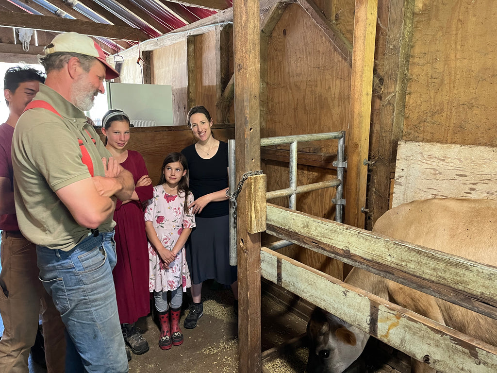 Young family viewing a milking cow in a barn at the Oregon House in California.