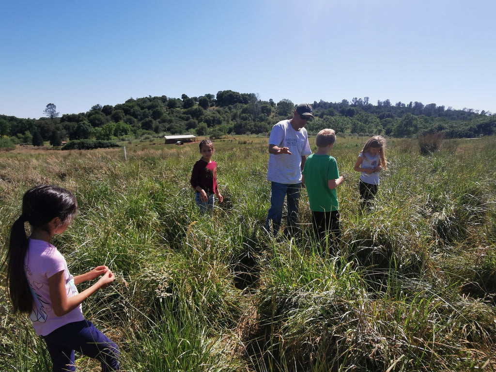 Family Friendly Farms at Our Lady's Ranch in Grass Valley, CA - Phil Zeiter in the long grasses of a field with a group of children from a farm tour.