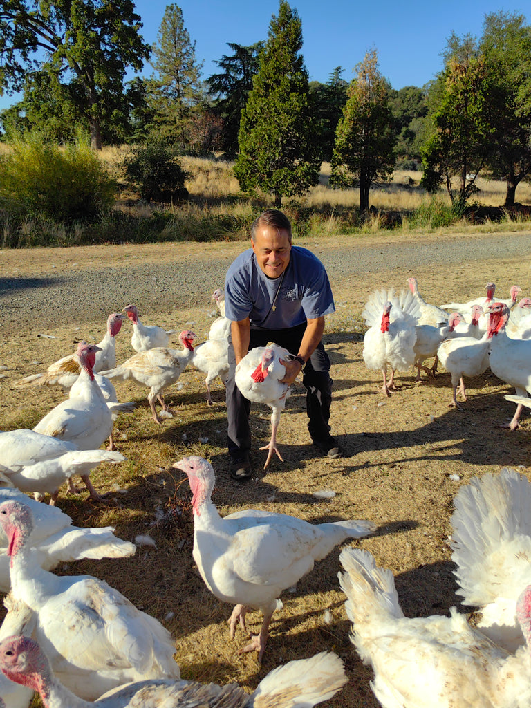 Family Friendly Farms Blog: The Health Benefits of Pasture-Raised Turkey