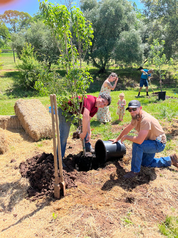smiling men plant sapling trees at our lady's ranch