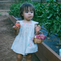 Mariana Zeiter at age two in a pretty dress and eating a tomato out of the family garden, Family Friendly Farms at Our Lady's Ranch in Grass Valley, California.