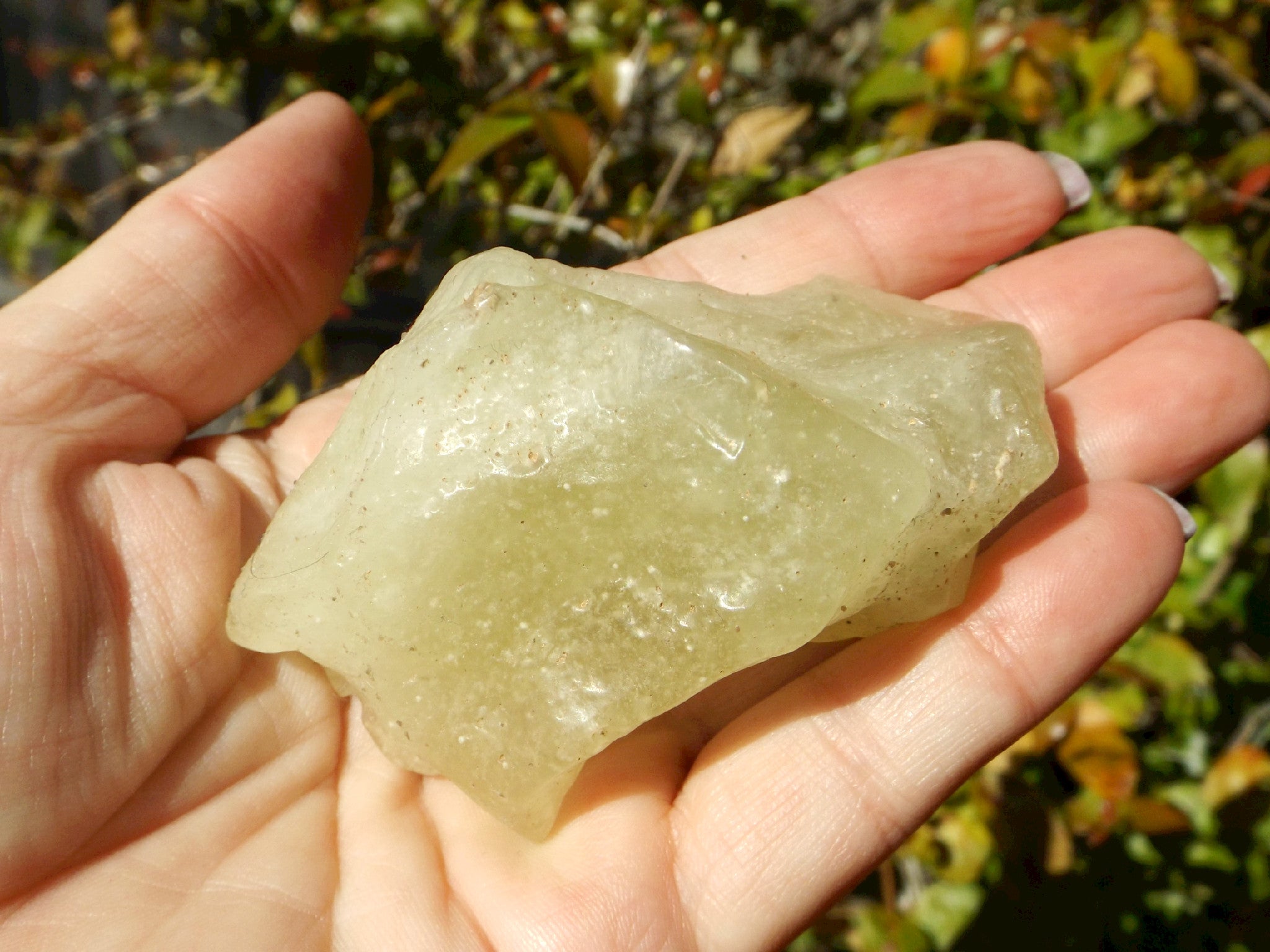 Libyan desert glass 天然89g-