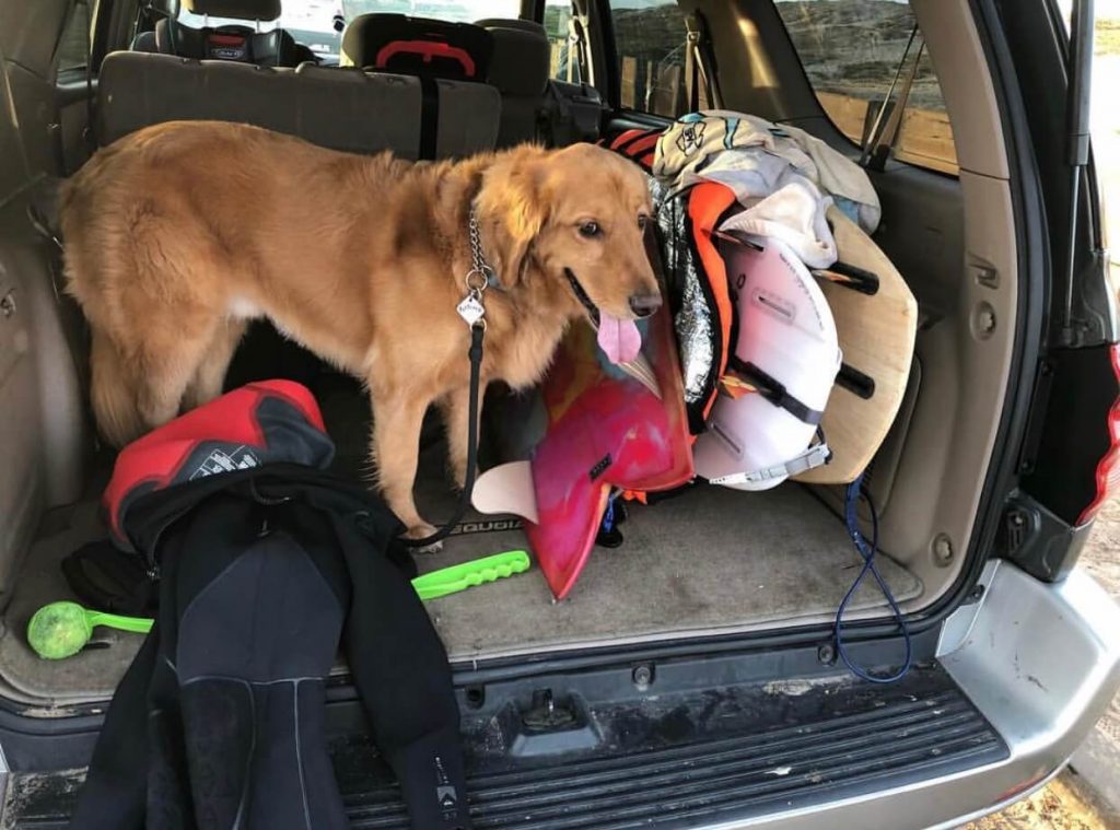 Pro-Lite bags in car trunk