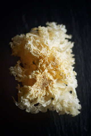 Snow Fungus Core