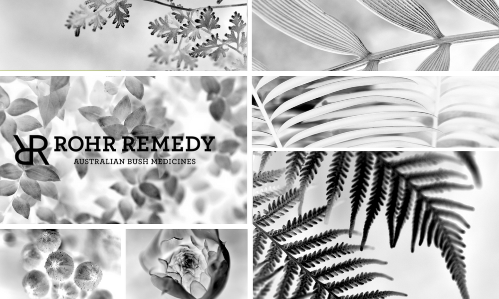 로레메디 Rohr Remedy 천연화장품. 호주직구 원파인즈