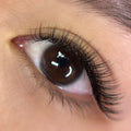 upclose shot of eye with classic lash extensions