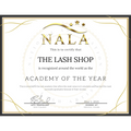 national association of lash artists award for academy of the year