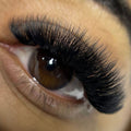 upclose shot of eye with volume lash extensions