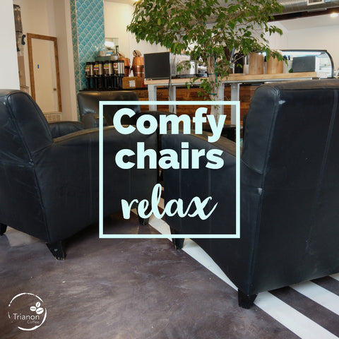 two comfy chairs sitting under a potted ficus tree