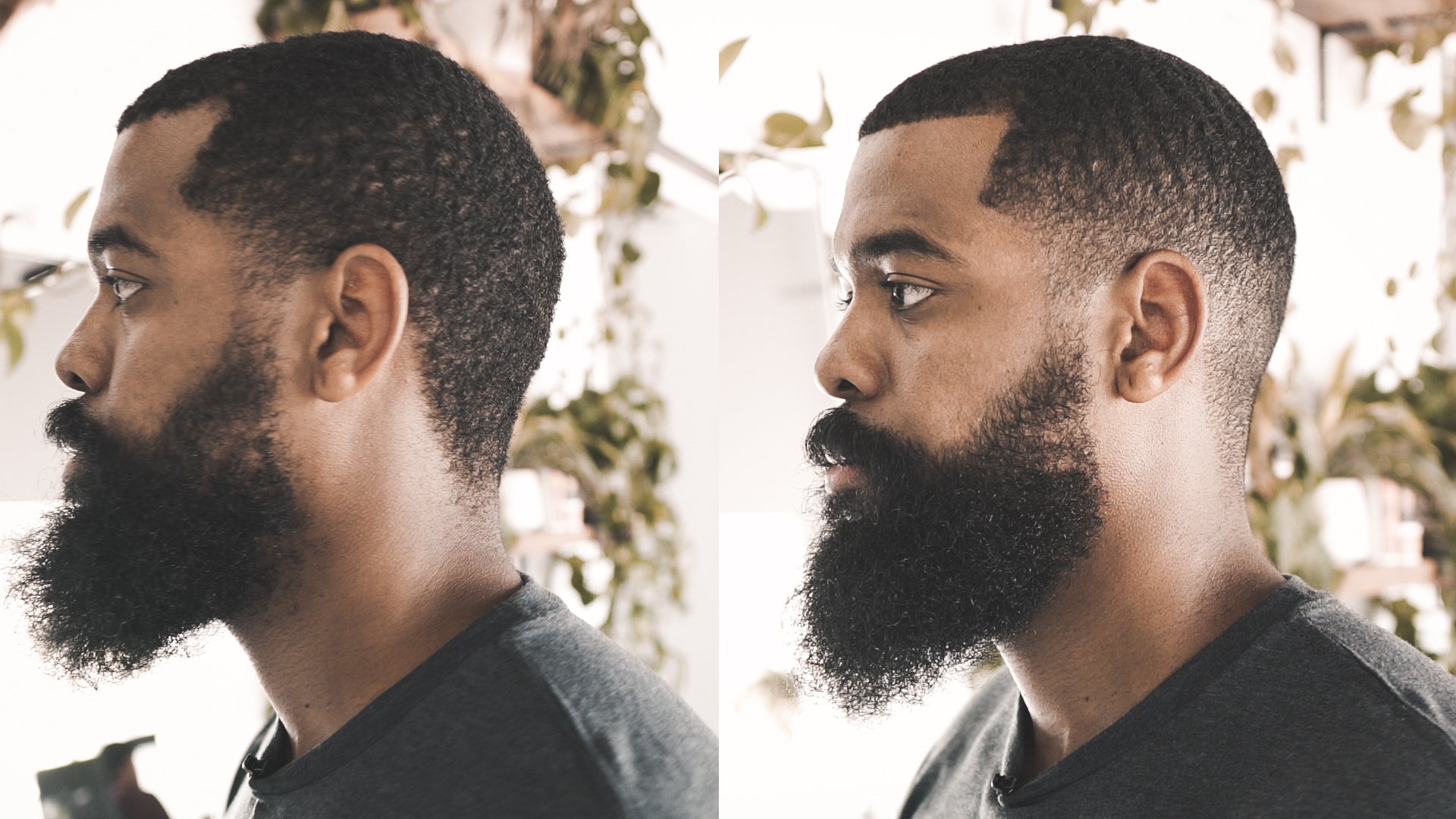 Low Fade Beard Shape Up Walkthrough Live Bearded