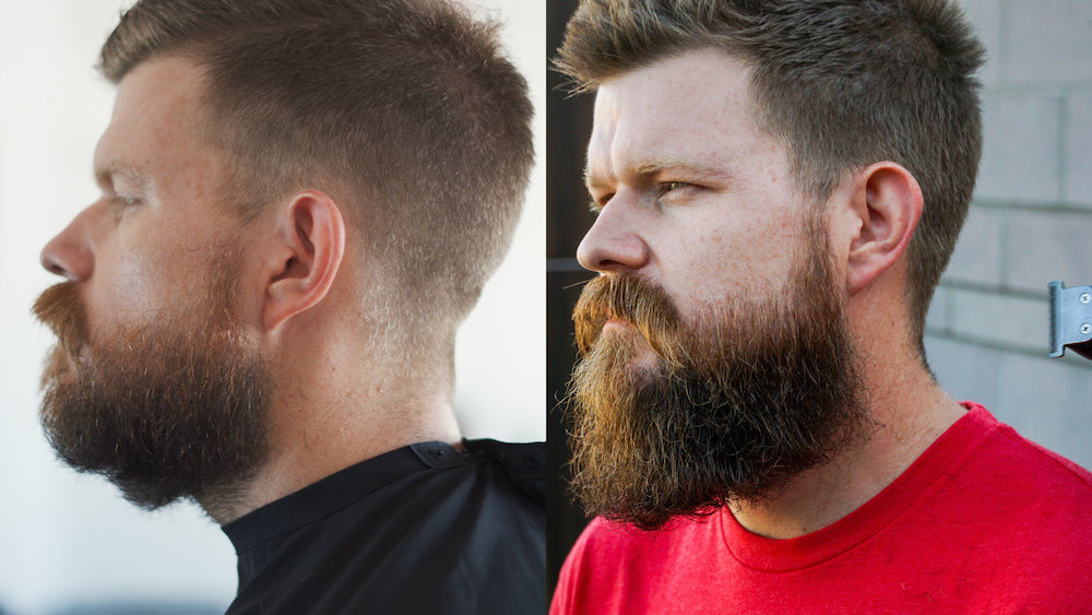 How To Trim A Neckbeard Guide To An Impressive Beard Live Bearded