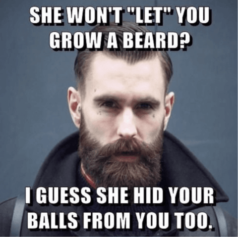 beard meme