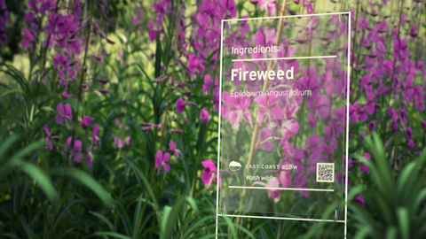 Fireweed Trail Sign