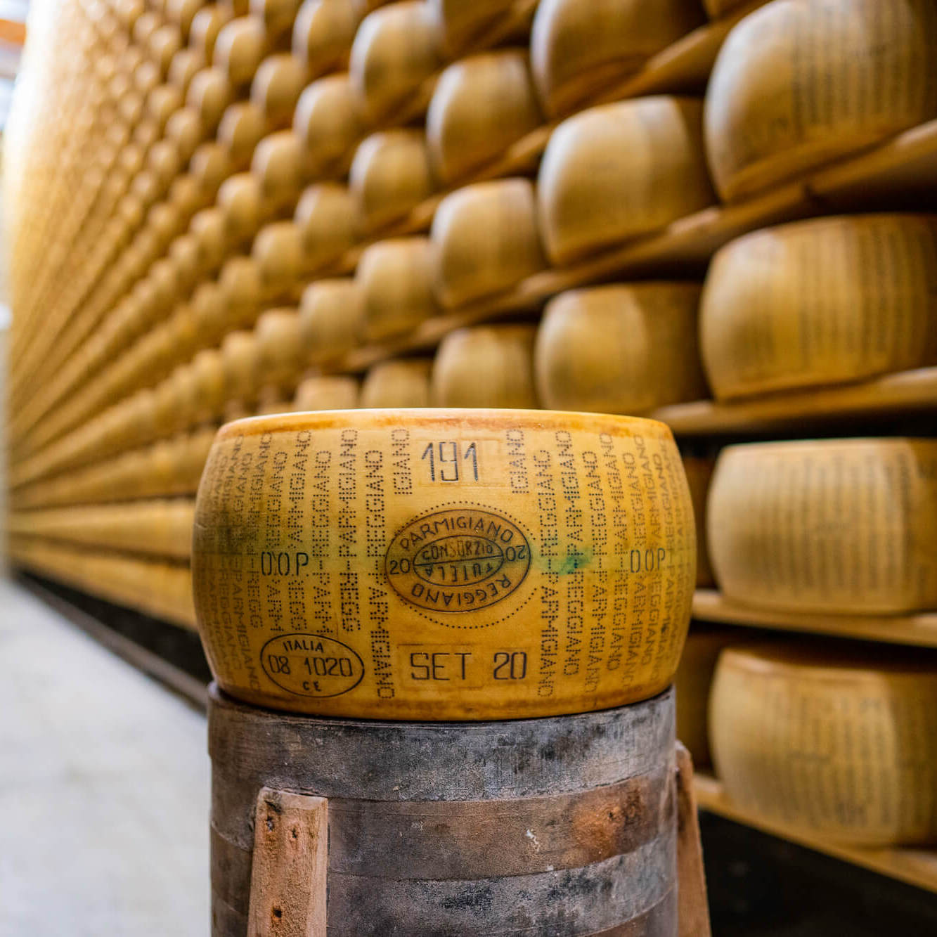 magic spoon grater with non-slip handle and Parmigiano Reggiano