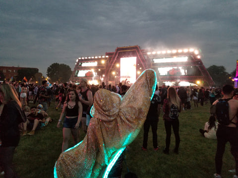 Follow the Firefly through the meadow...it'll lead to Kaskade!
