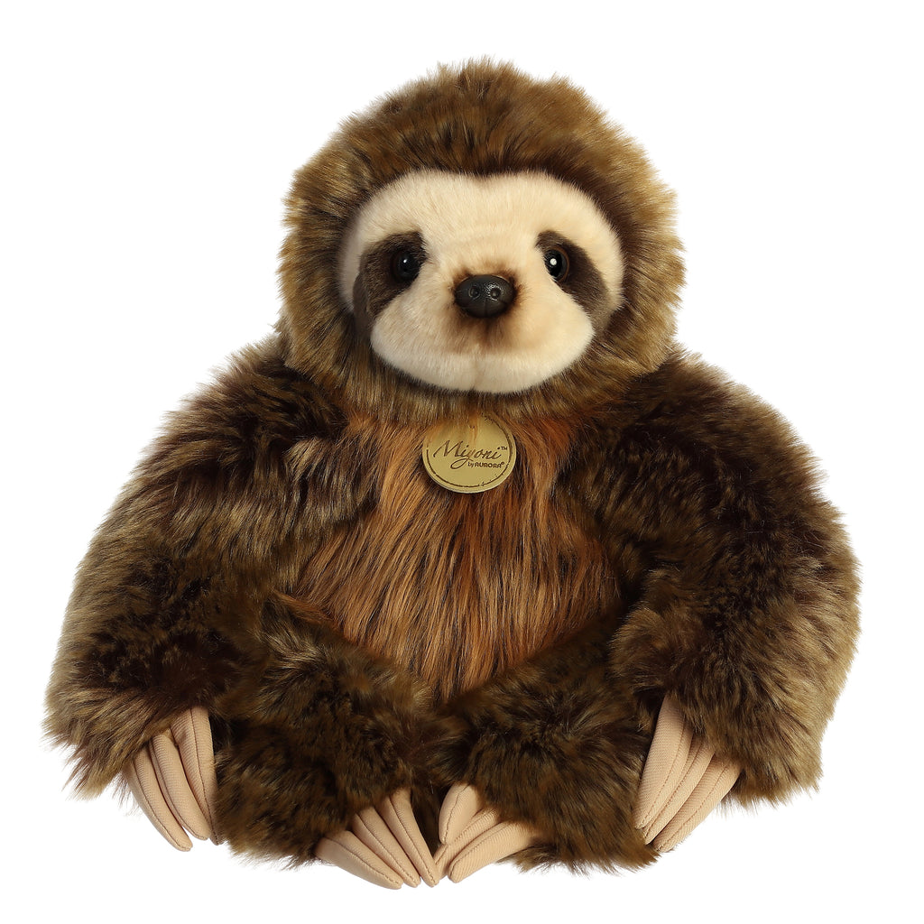 aurora sloth