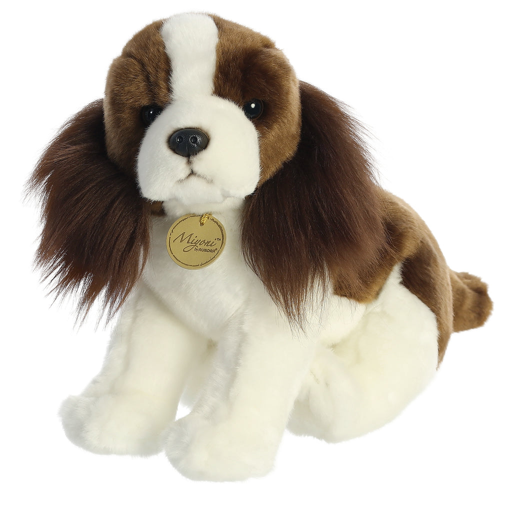 english springer spaniel teddy