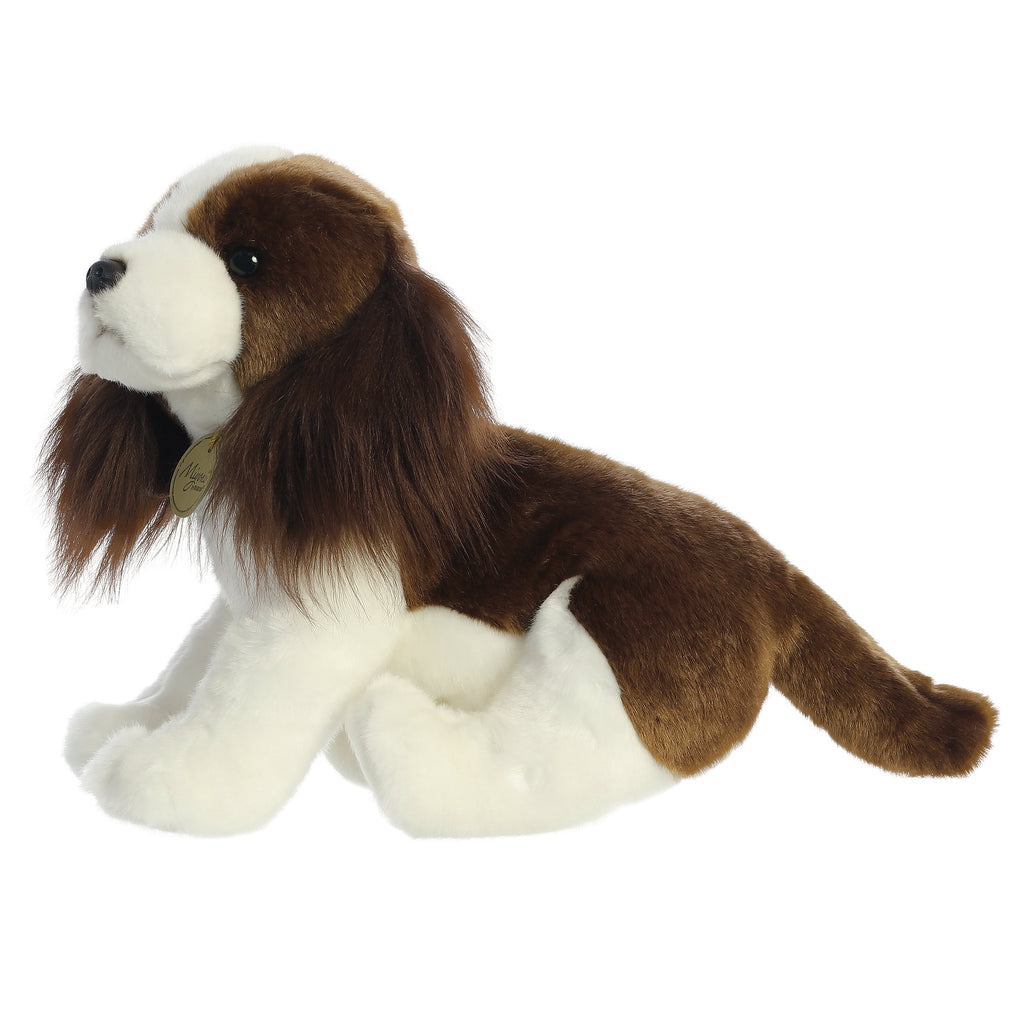 english springer spaniel teddy