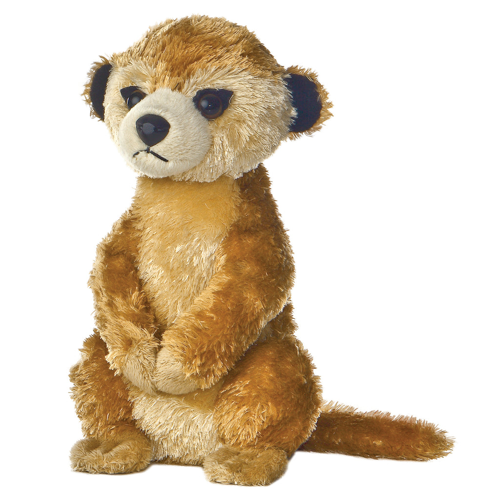 meerkat teddy