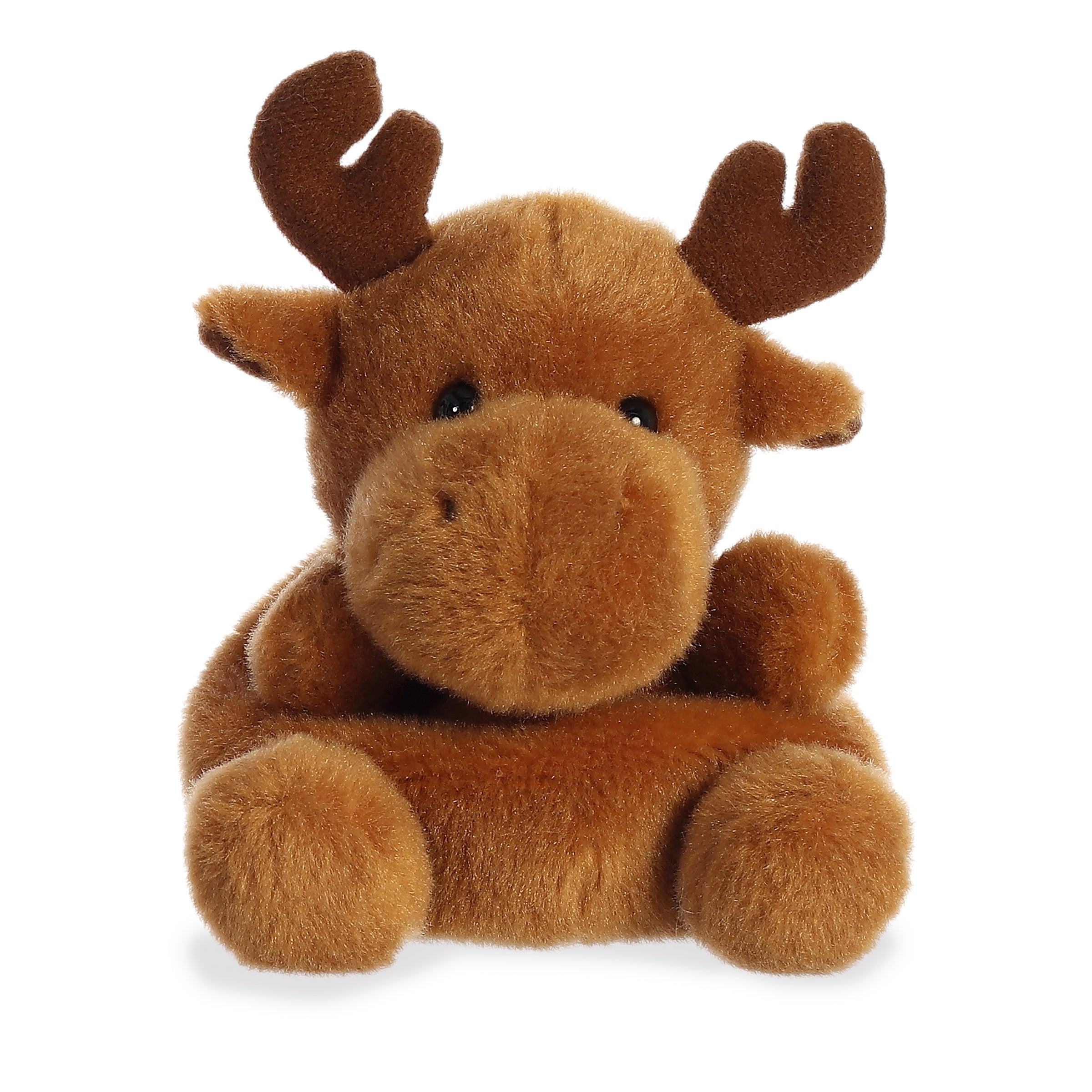 aurora world moose