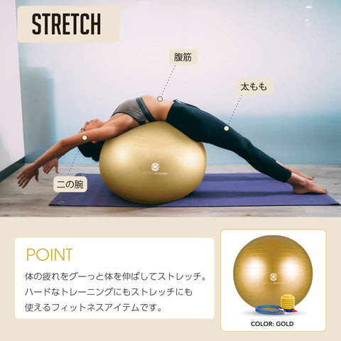 未使用品✨【FiNC】WELLNESS BALLバランスボール55cm ブラウン