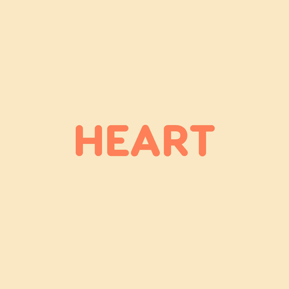 Dog Heart | Supplements For A Healthy Heart – Vanillapup