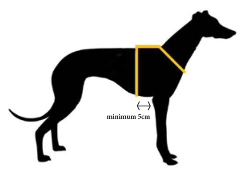 Haqihana Size Guide