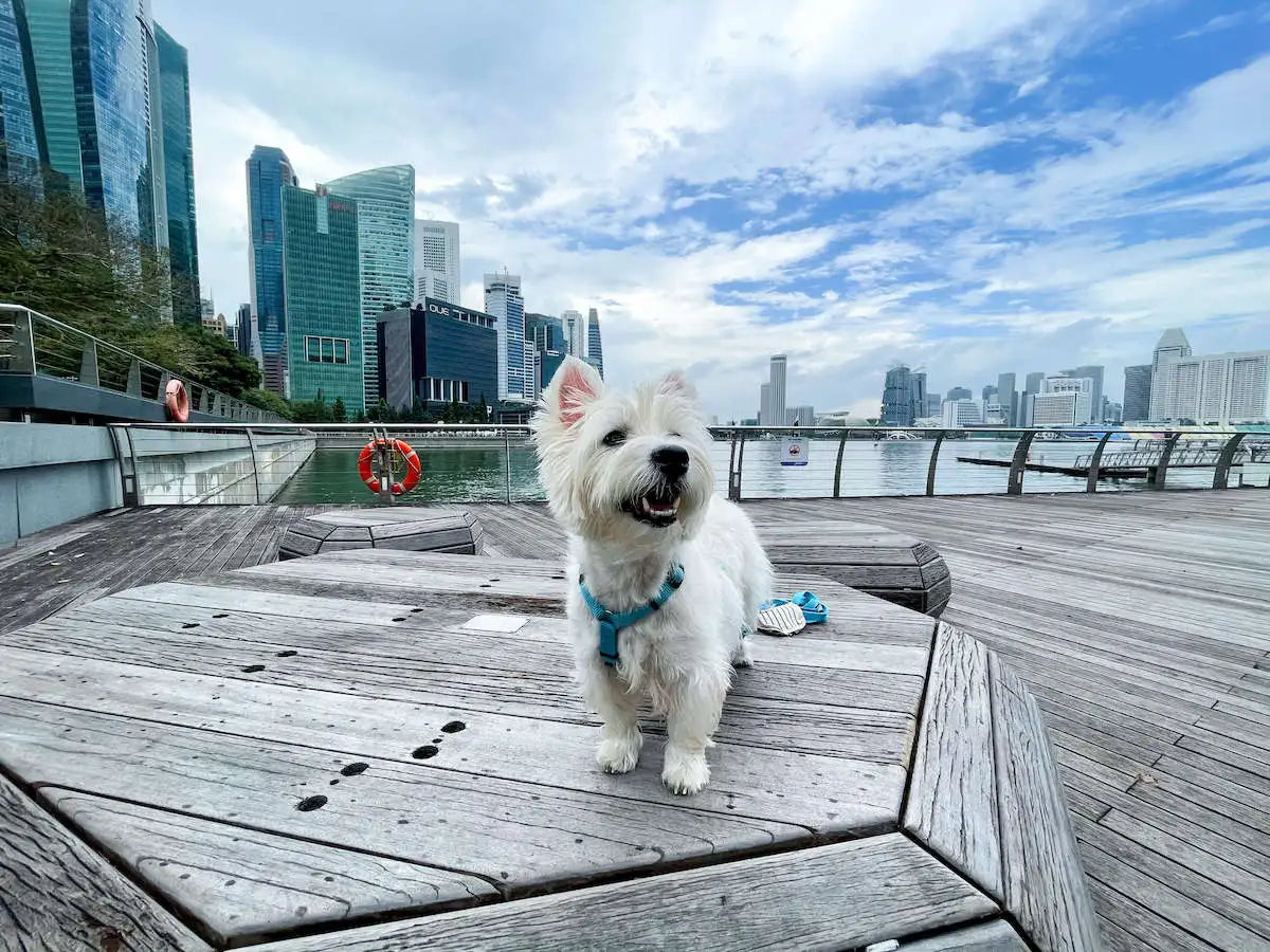 Latte at Marina Bay