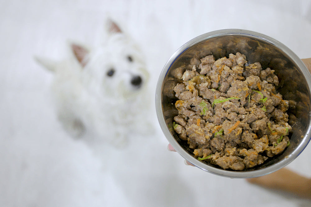 Cooked dog food prepared by vanillapup