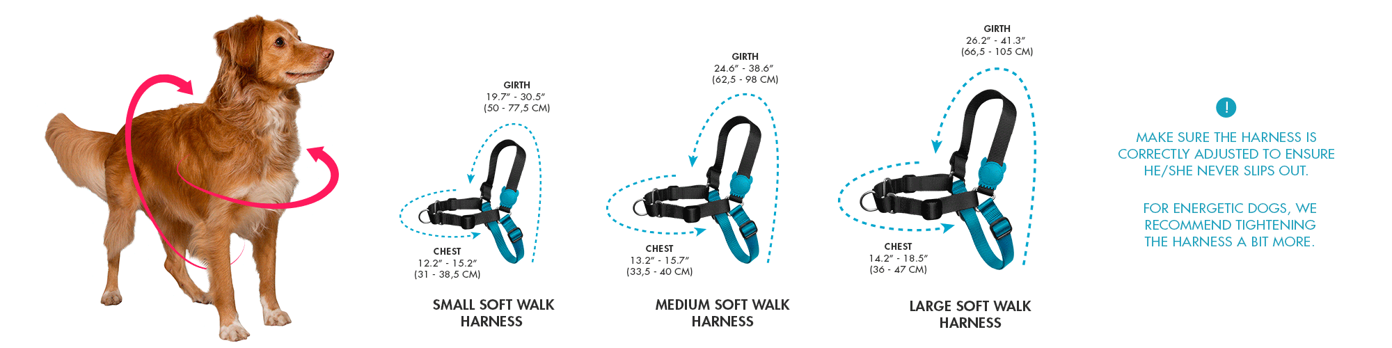 Easy Walk Size Chart