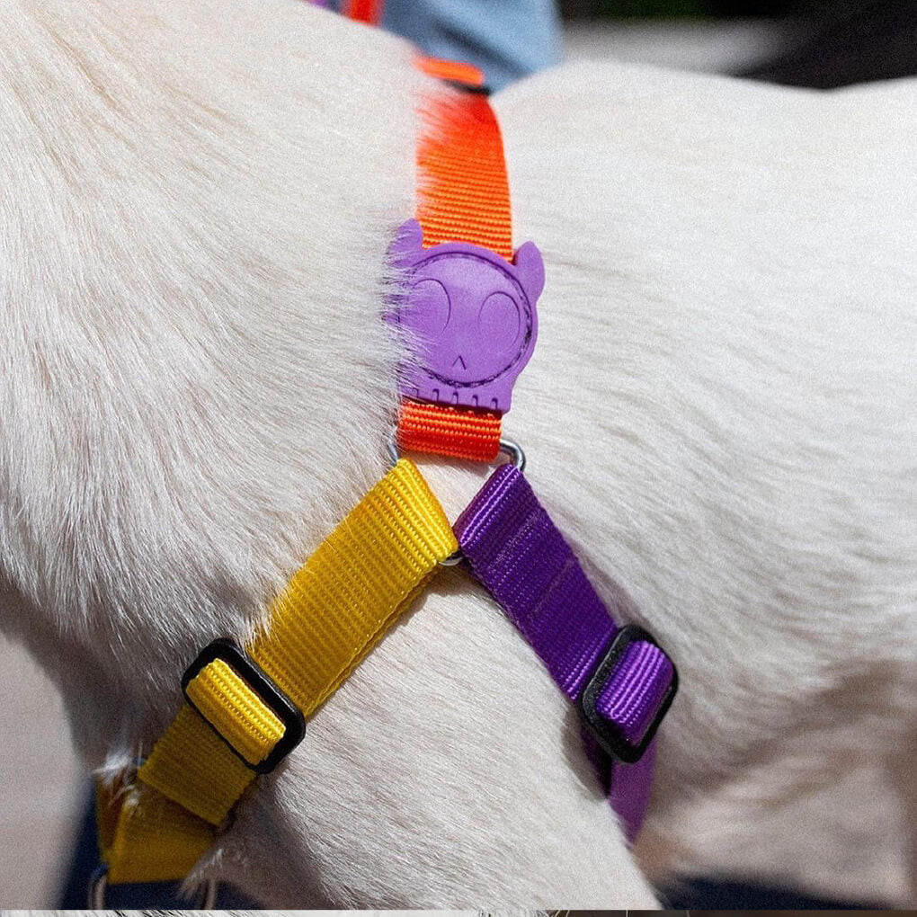 Zee.Dog Pump Soft-Walk (No Pull) Harness - Vanillapup Online Pet Store