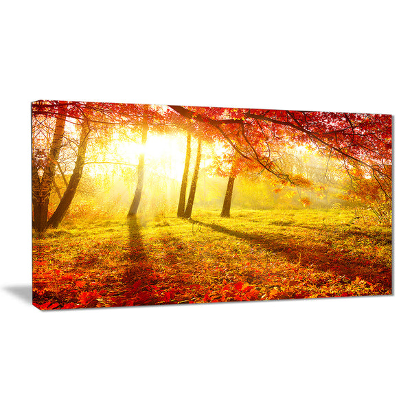 autumnal park landscape photography canvas art print PT6798 – fabuart