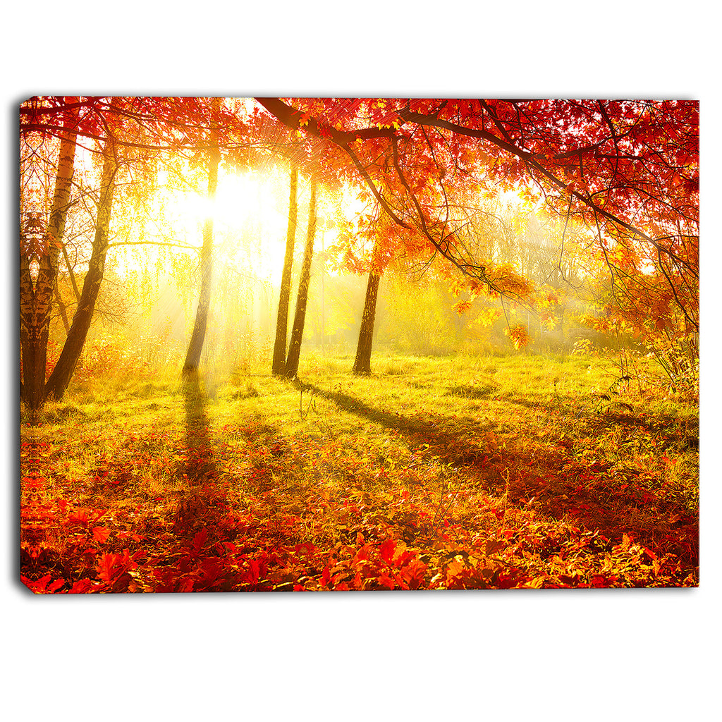 autumnal park landscape photography canvas art print PT6798 – fabuart