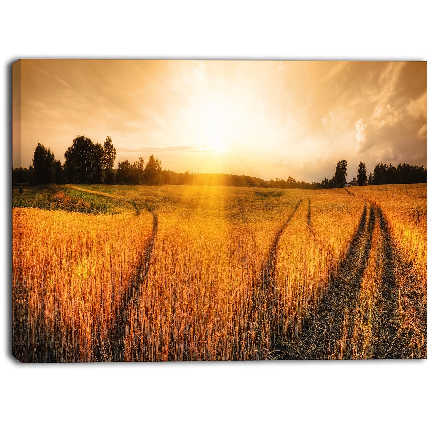 wheat field at sunset panorama photo canvas art print PT6945