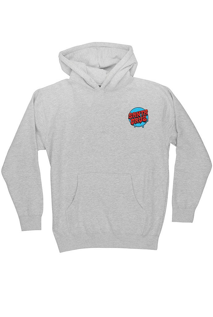 kids santa cruz hoodie