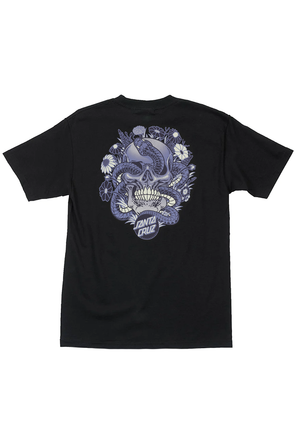 Santa Cruz Skateboards Santa Cruz Roskopp the Five T-Shirt - Antique Gold -  Attic Skate & Snow Shop