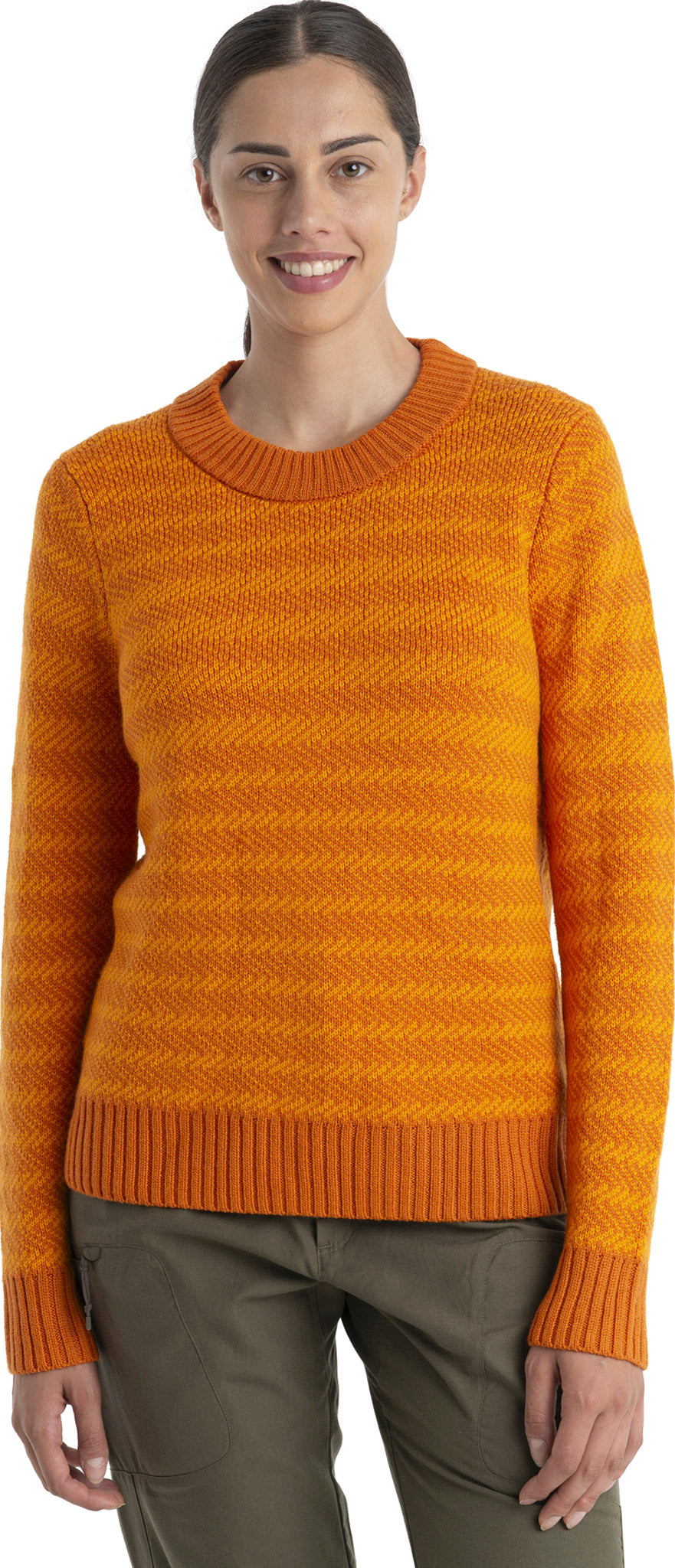 icebreaker Merino Waypoint Crewe Sweater - Women's