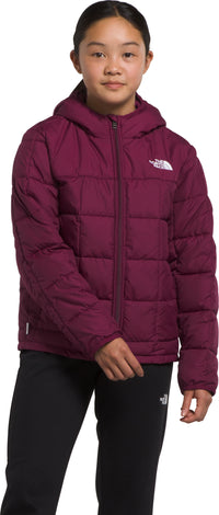 TNF manteau pour homme ACONCAGUA 3 - Boutique Les Sommets