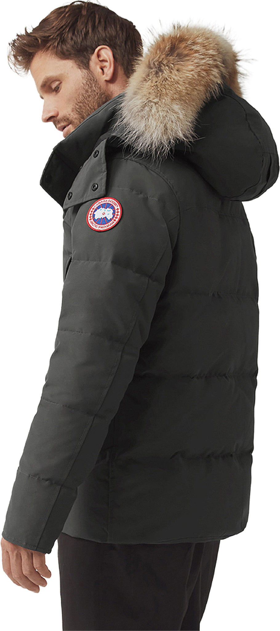 graphite wyndham parka