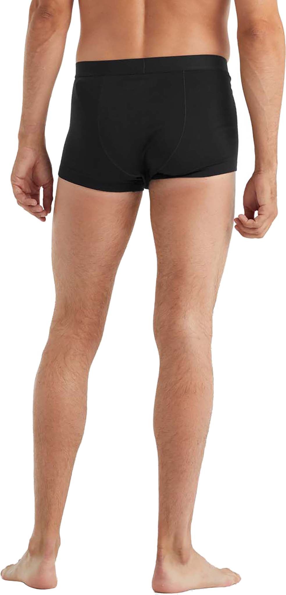 Icebreaker Anatomica Cool-Lite Boxers - Mens, FREE SHIPPING in Canada