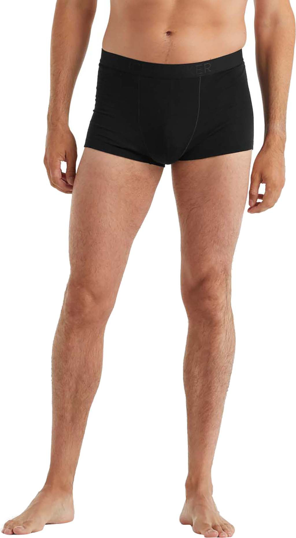 Icebreaker Men's Cool-Lite Merino Anatomica Boxers