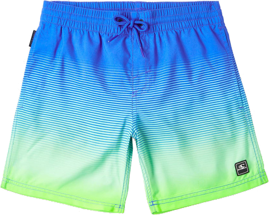 O'Neill Cali Gradient 14 In Volley Shorts - Boys | Altitude Sports