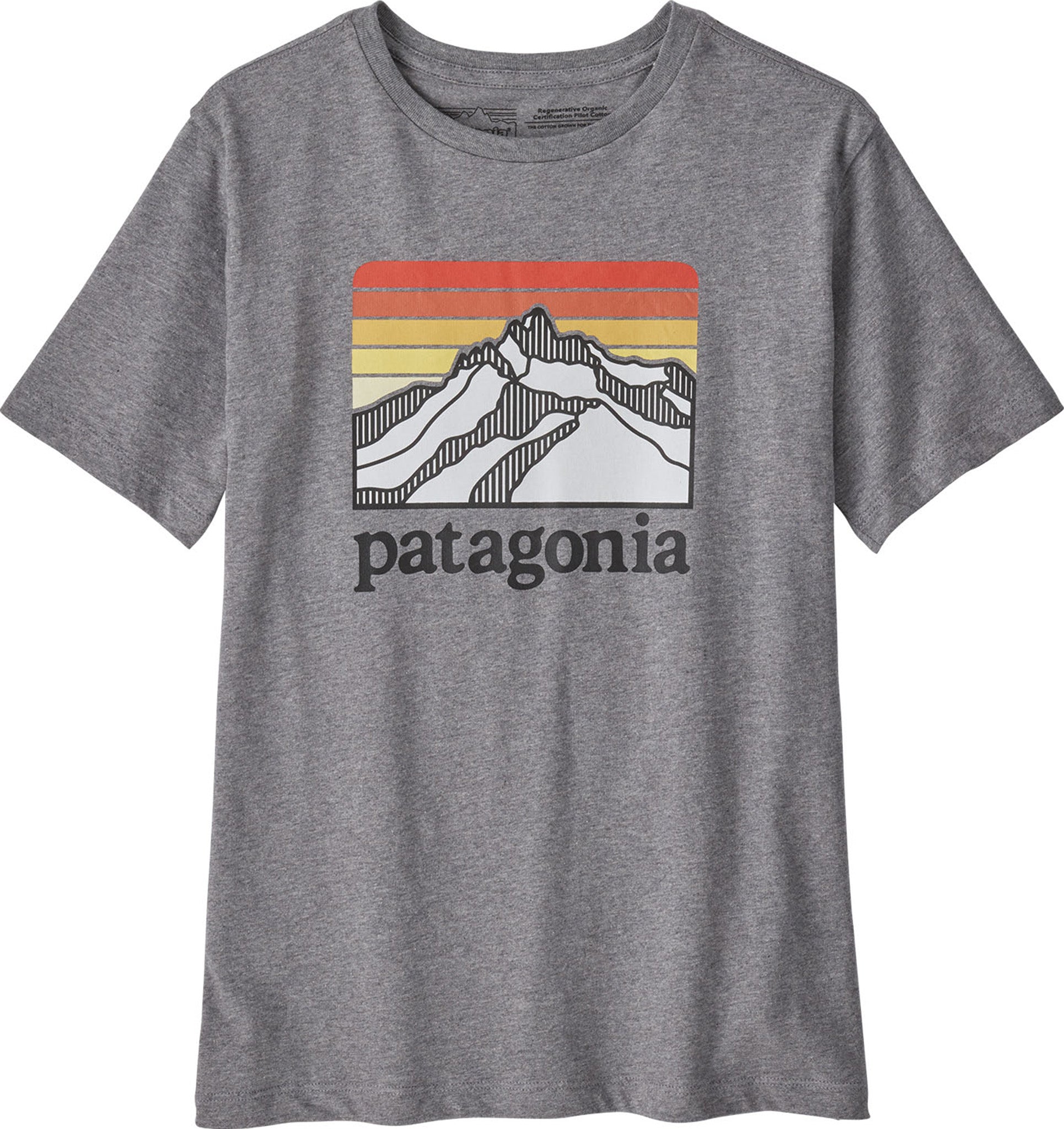 Patagonia Organic Cotton Graphic Tee Tシャツ カットソー(半袖 袖