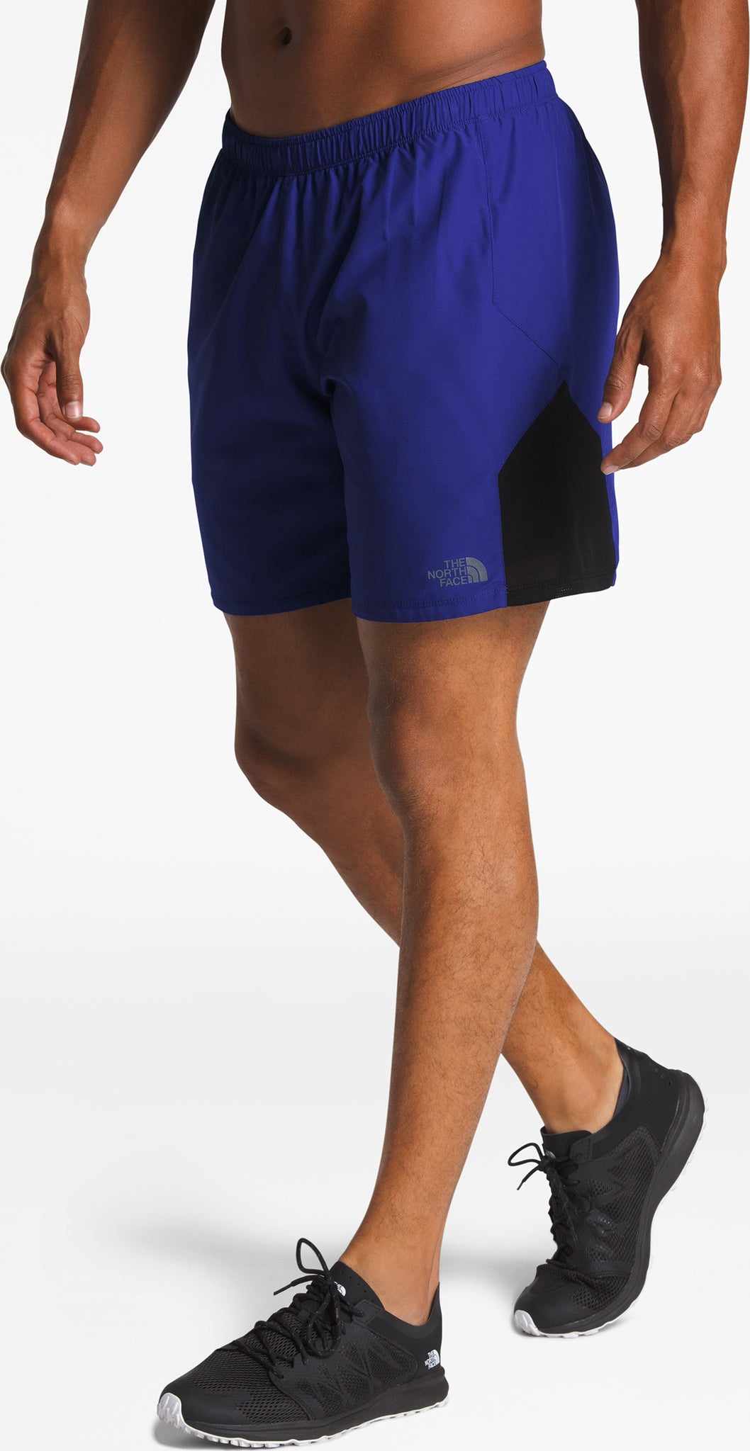 the north face ambition dual short