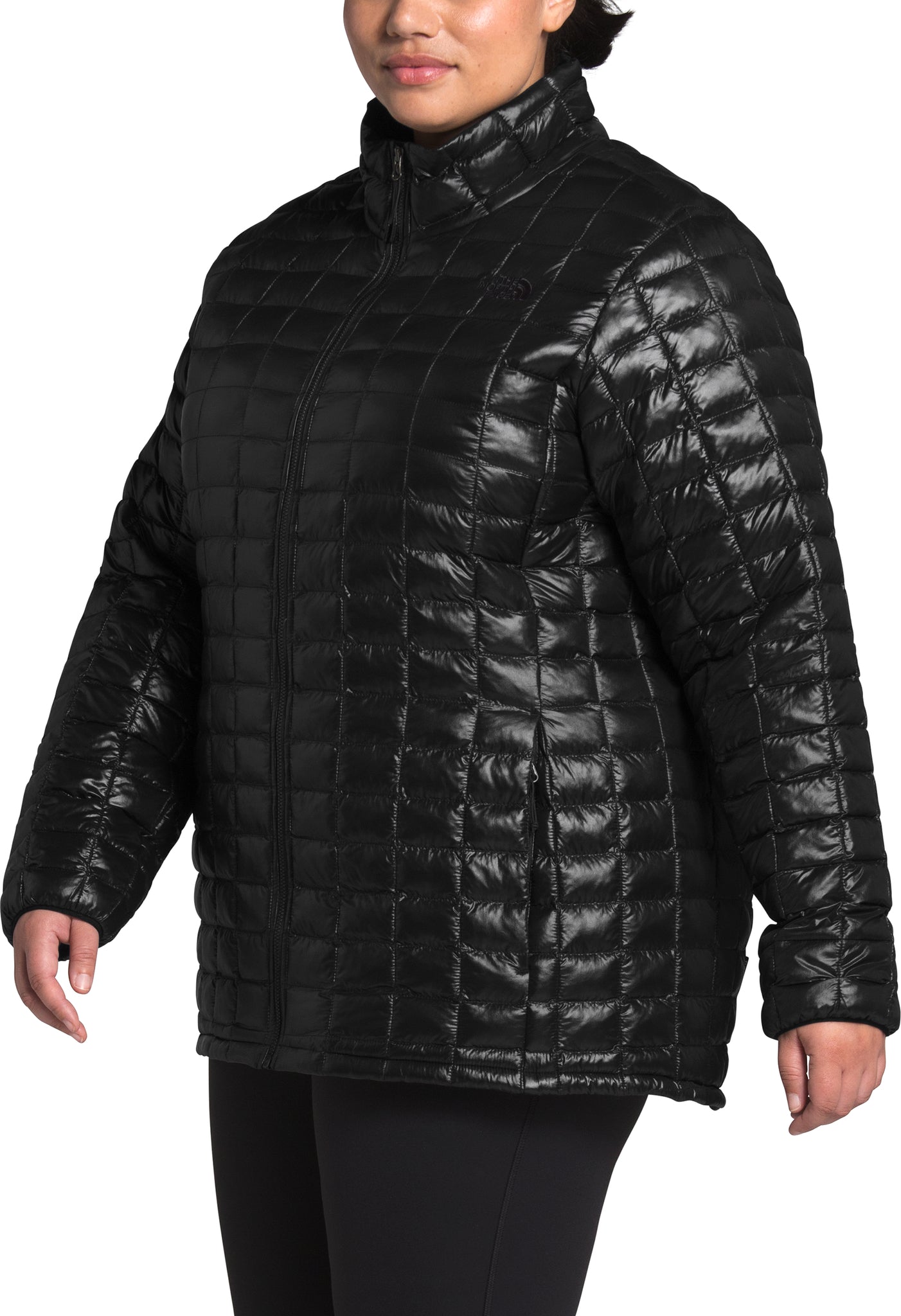 the north face plus