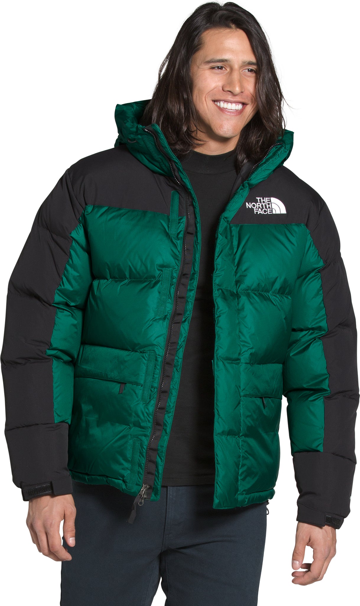the north face down parka