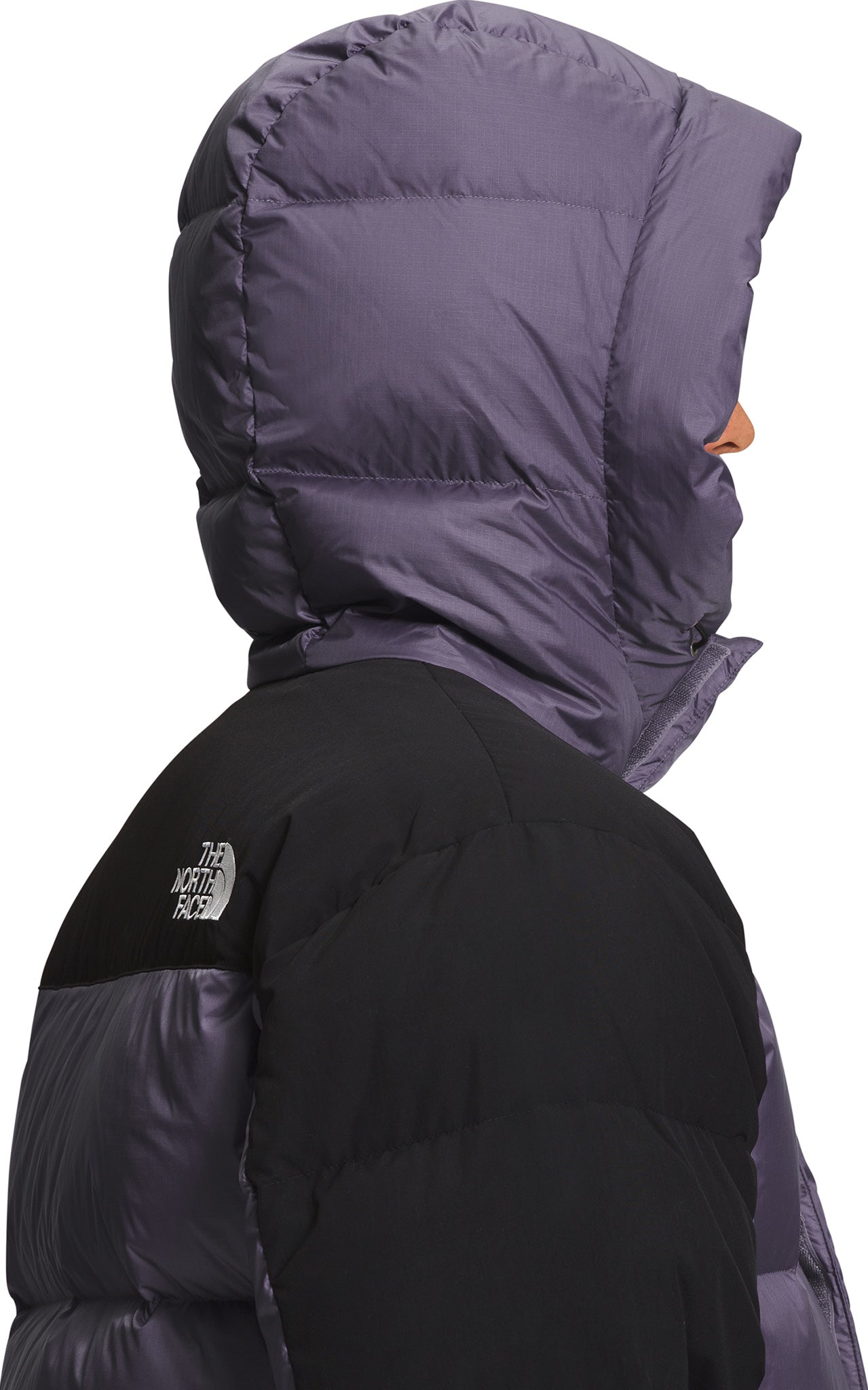 The North Face HMLYN Down Parka - Men's | Altitude Sports