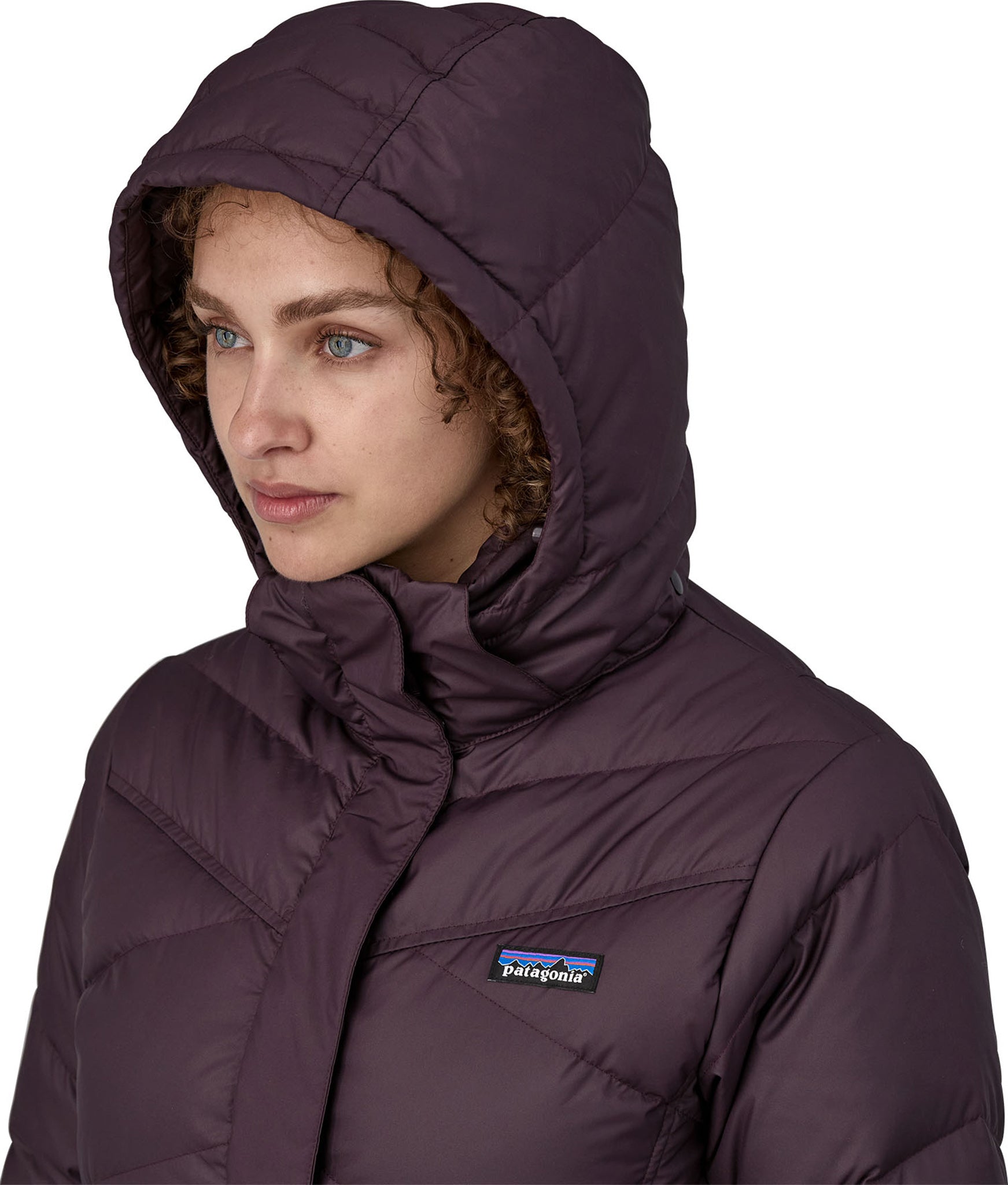 Patagonia Down With It Parka - Women's | Altitude Sports